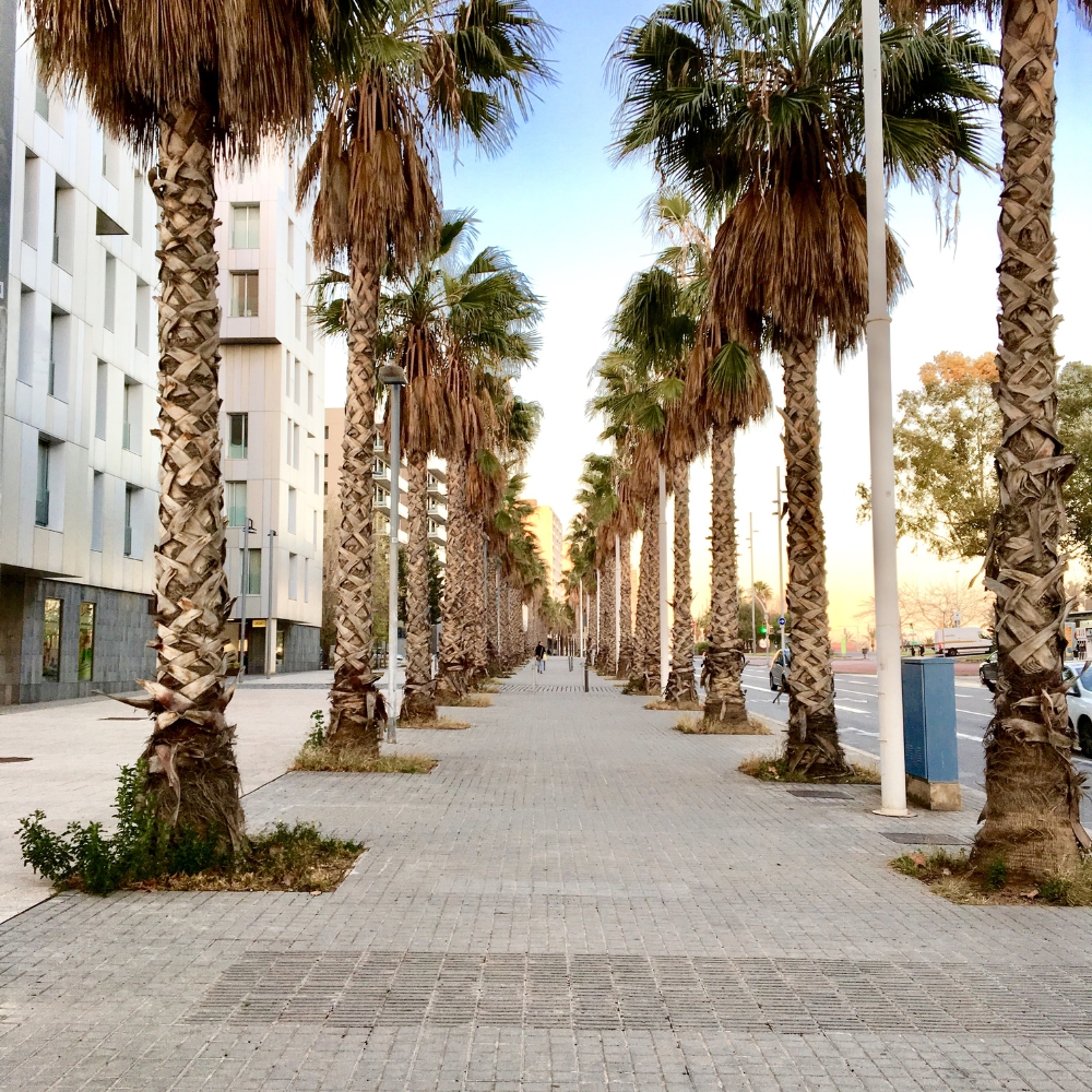 El Poblenou