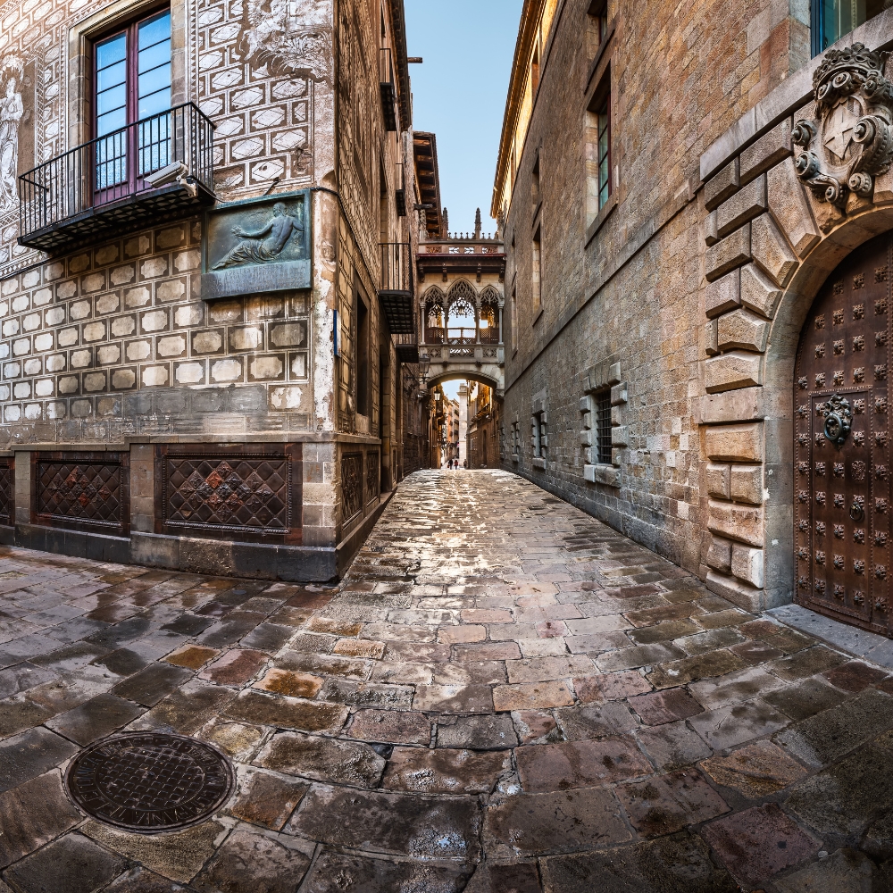 Gothic Quarter (Barri Gòtic)
