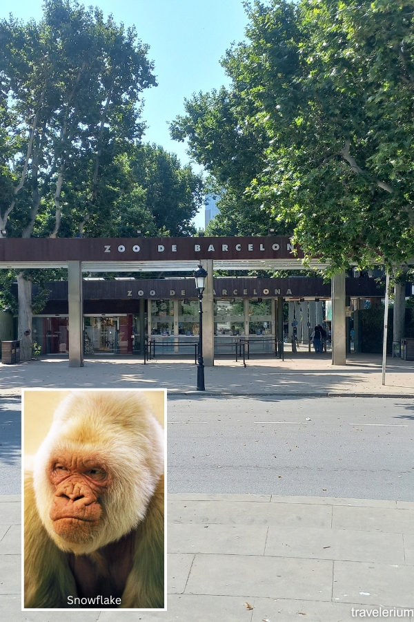Barcelona Zoo - Ciutadella Park