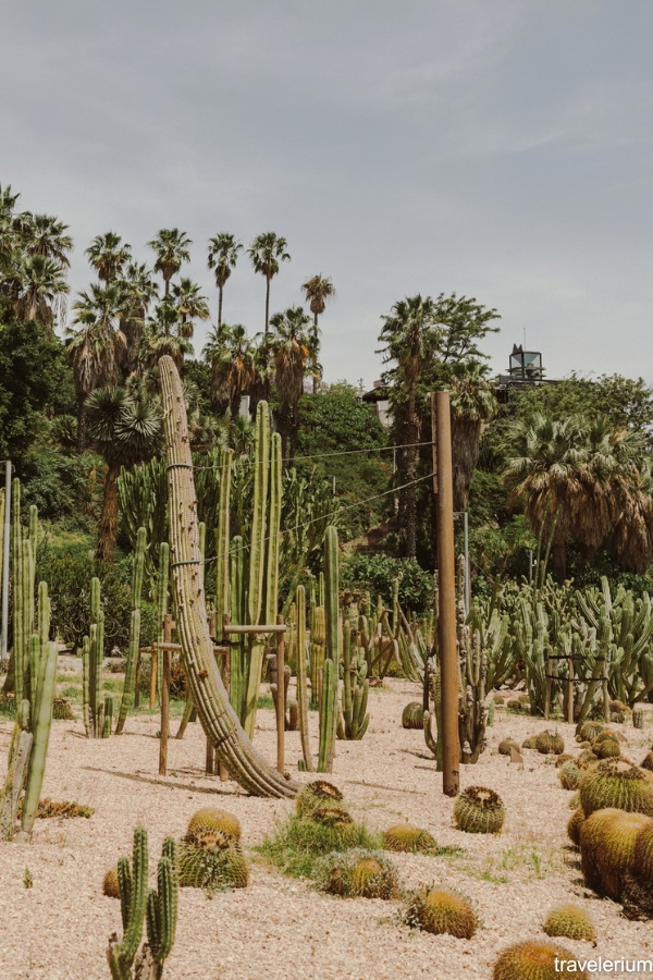 Jardins de Mossèn Costa i Llobera