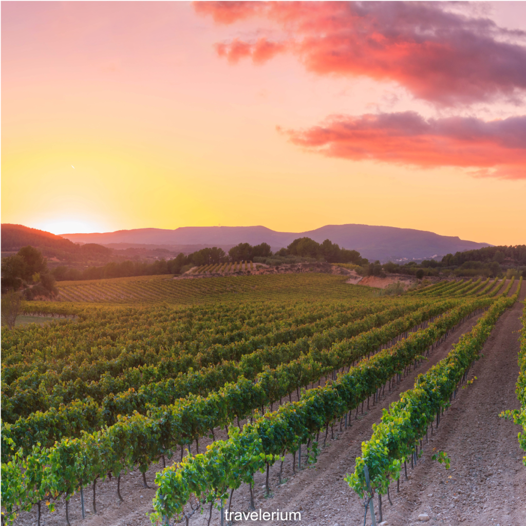 Penedès - 5 Days in Barcelona Itinerary