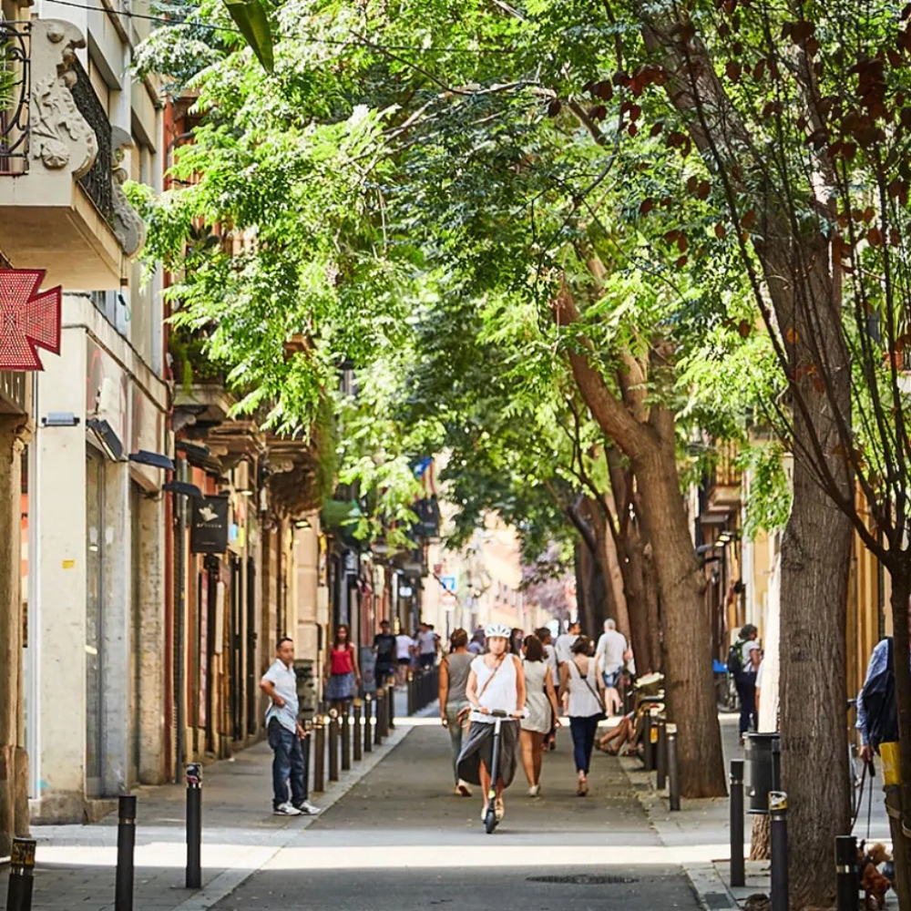 Gracia Neighborhood